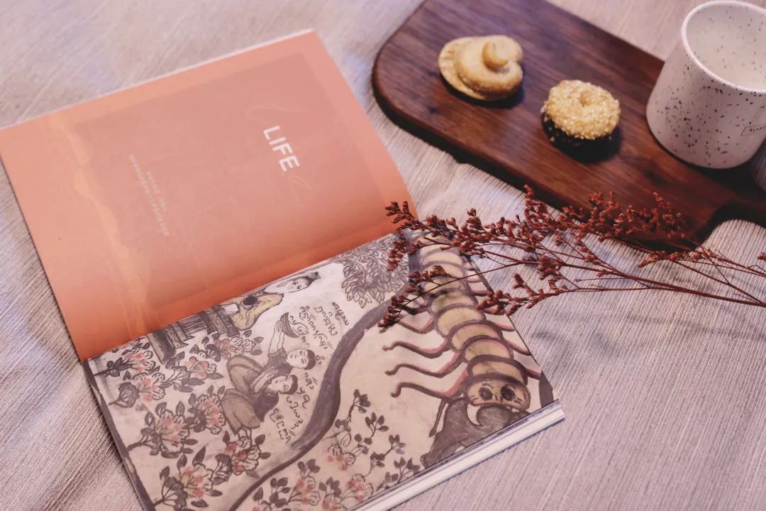 西双版纳不相信生活会乏味