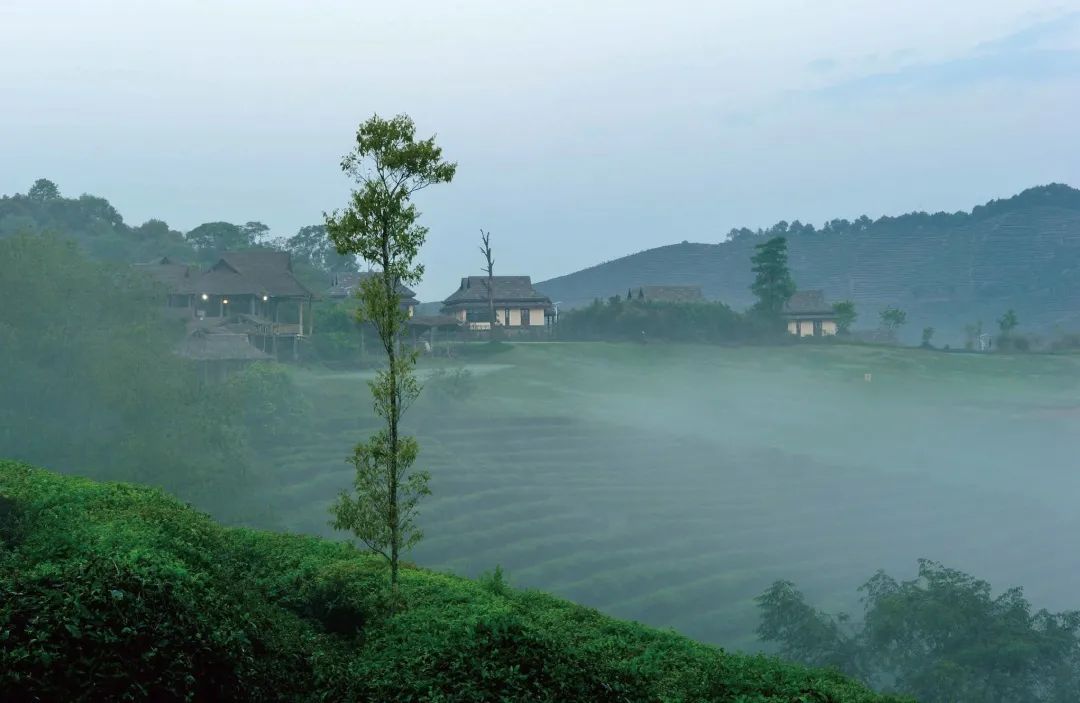 ��˫���ɲ���������ᷦζ