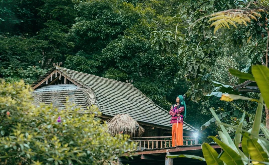 ��˫���ɲ���������ᷦζ