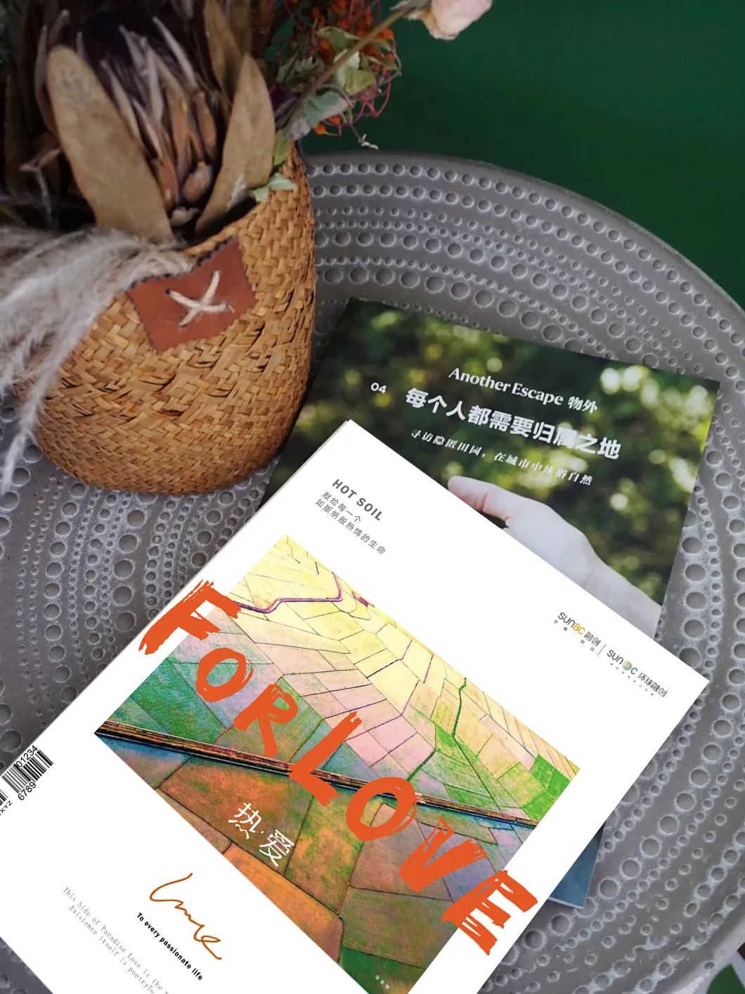 西双版纳不相信生活会乏味