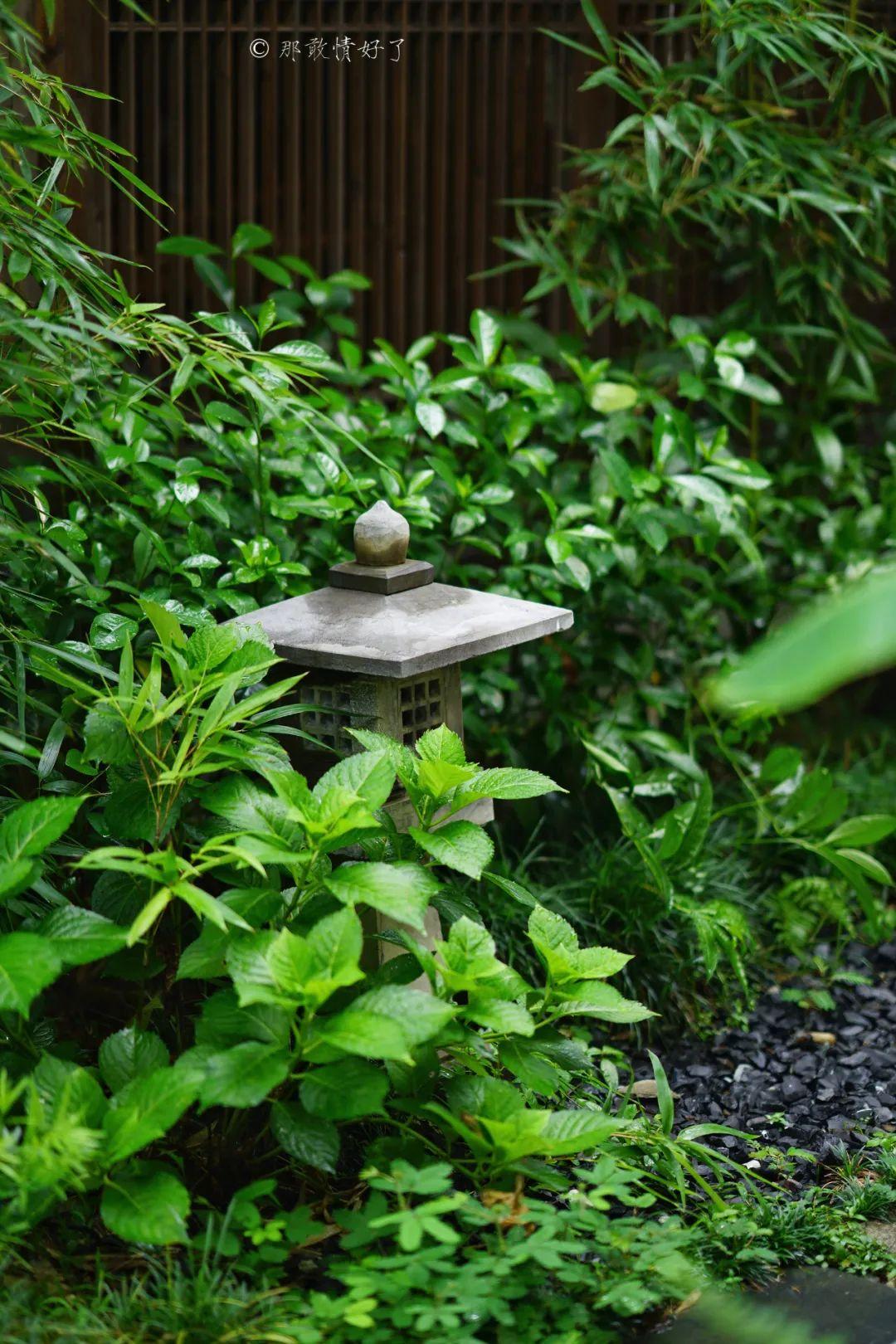 ��ɽ��˵��0�����Ļ��̴�լ���ޣ�������������ס�ڴ��辰��