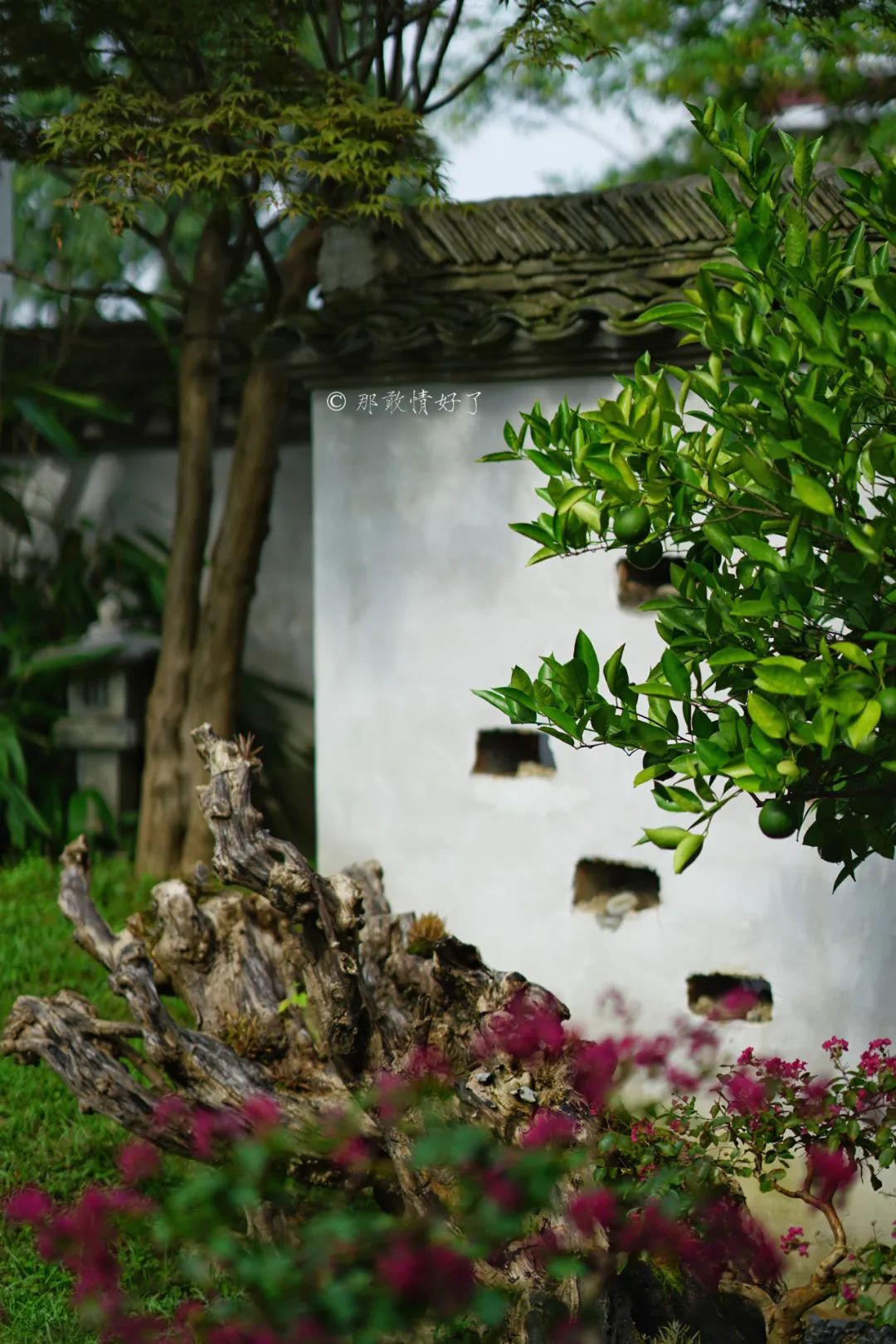 ��ɽ��˵��0�����Ļ��̴�լ���ޣ�������������ס�ڴ��辰��