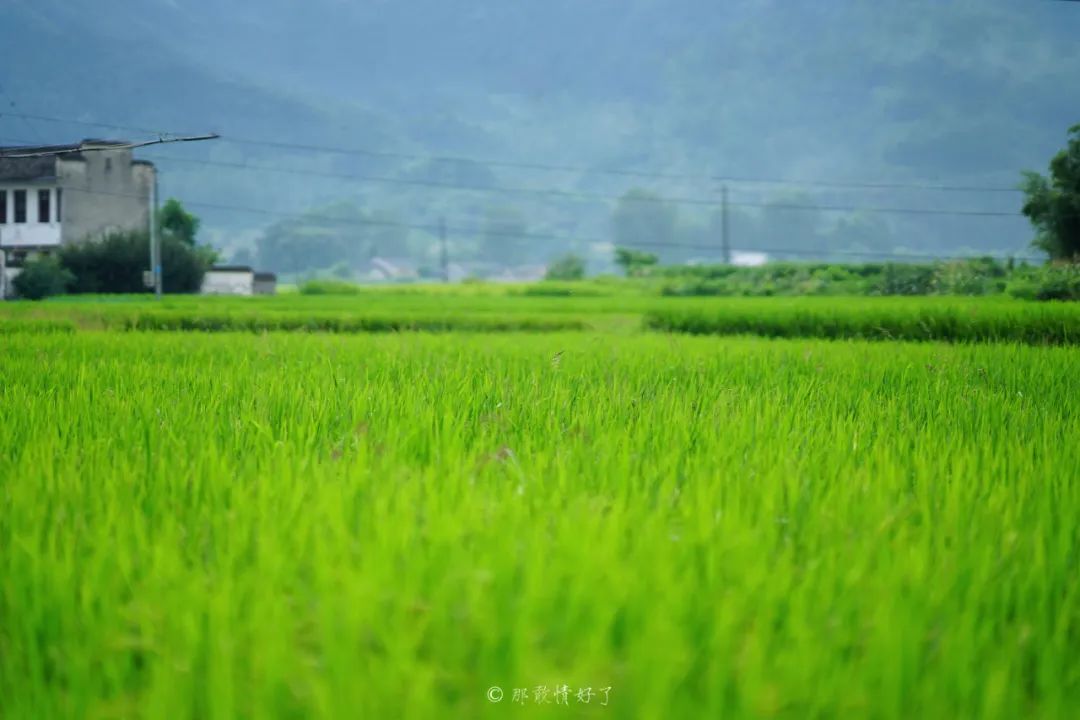 ��ɽ��˵��0�����Ļ��̴�լ���ޣ�������������ס�ڴ��辰��