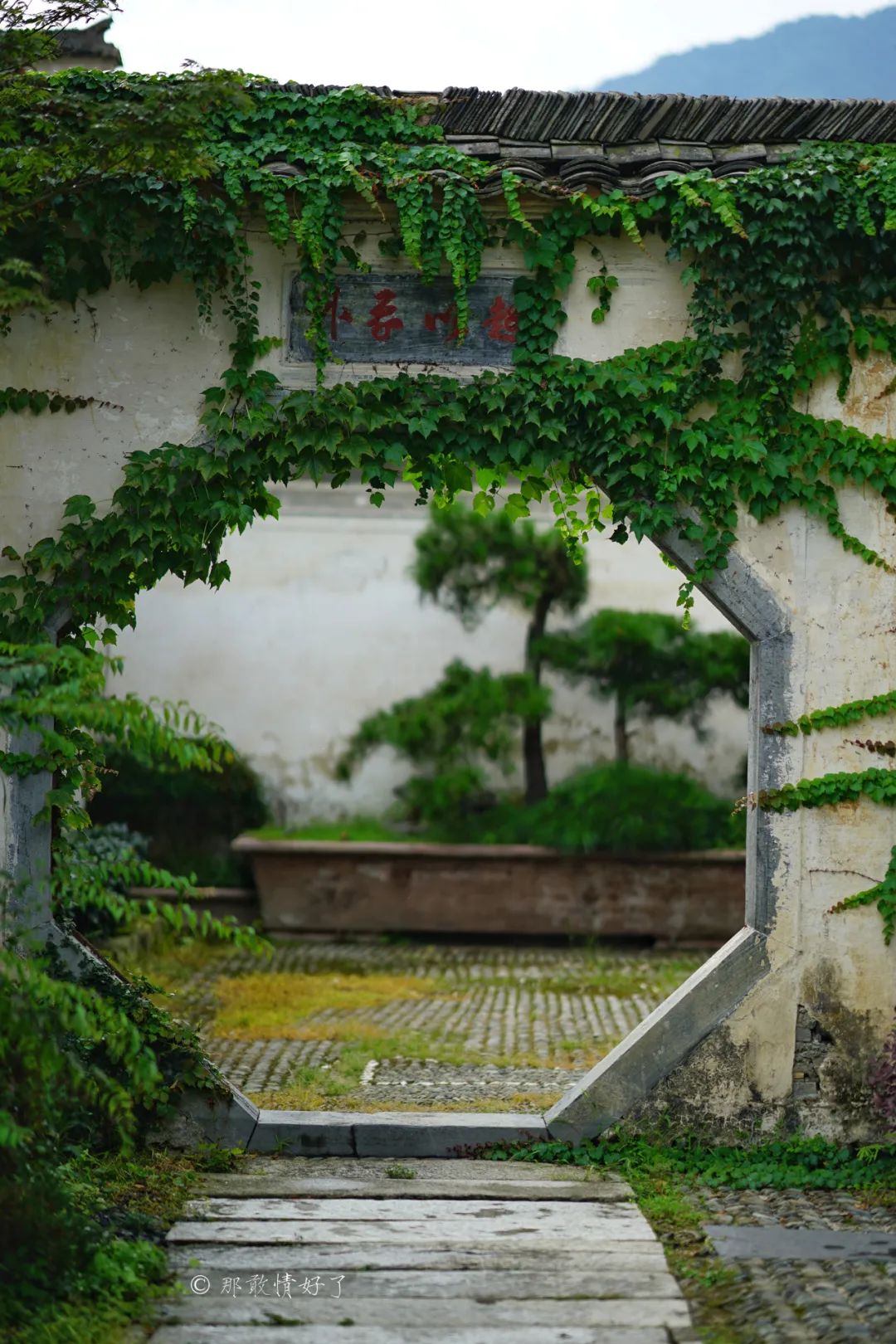 ��ɽ��˵��0�����Ļ��̴�լ���ޣ�������������ס�ڴ��辰��