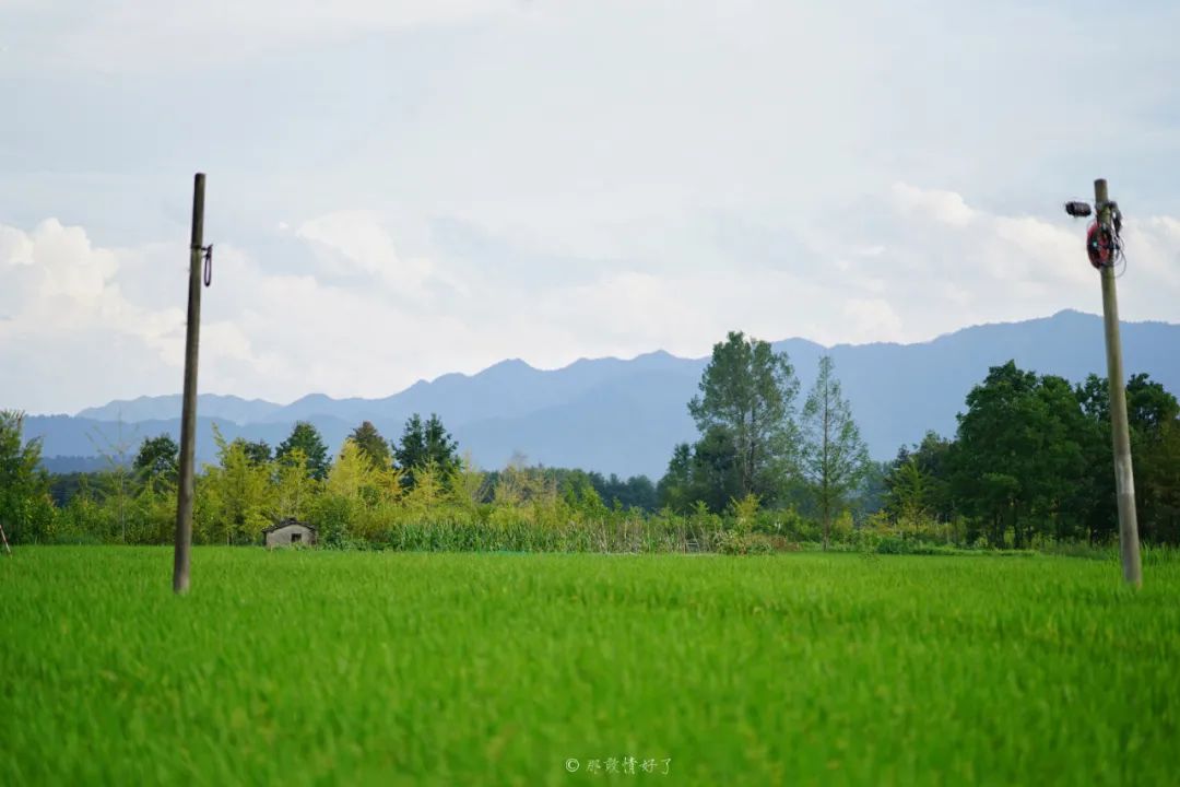 ��ɽ��˵��0�����Ļ��̴�լ���ޣ�������������ס�ڴ��辰��