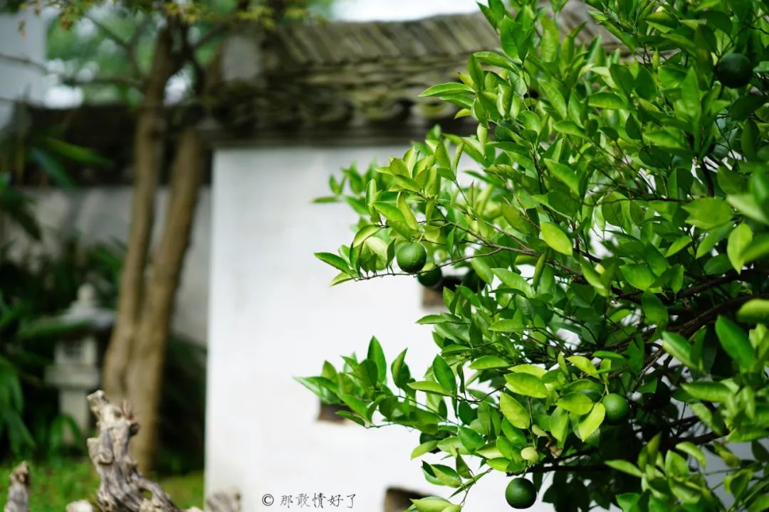 ��ɽ��˵��0�����Ļ��̴�լ���ޣ�������������ס�ڴ��辰��