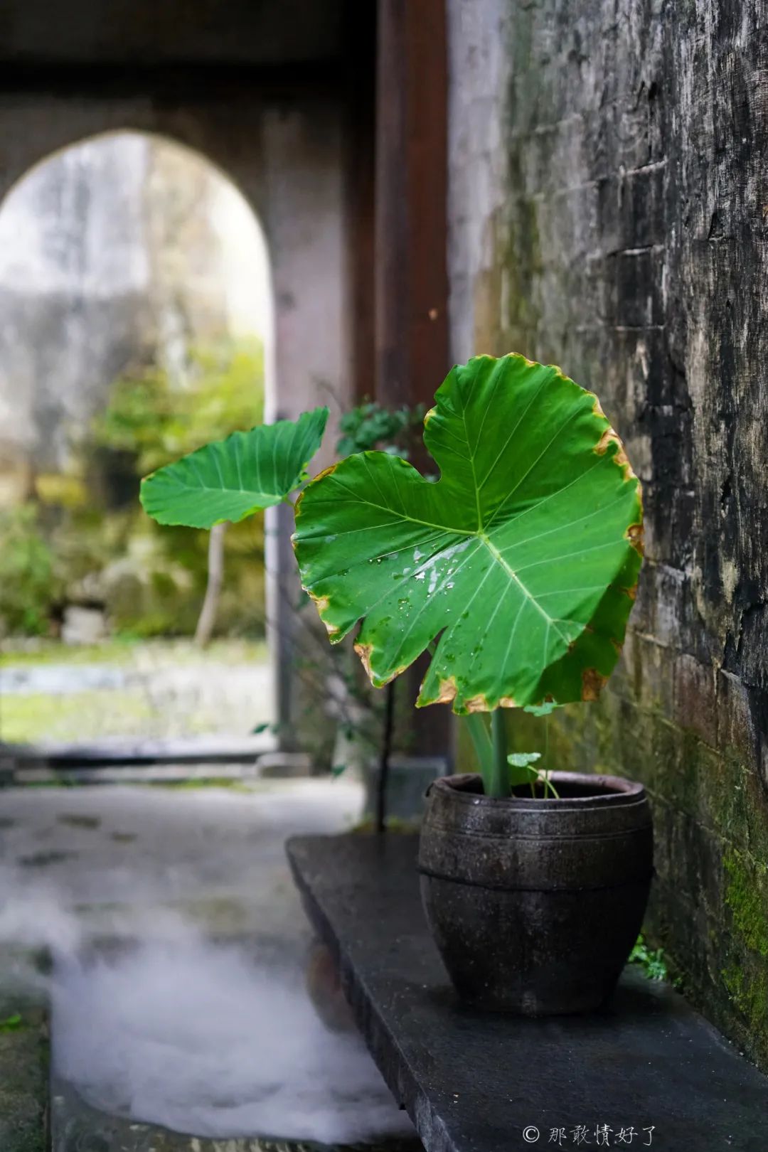 ��ɽ��˵��0�����Ļ��̴�լ���ޣ�������������ס�ڴ��辰��