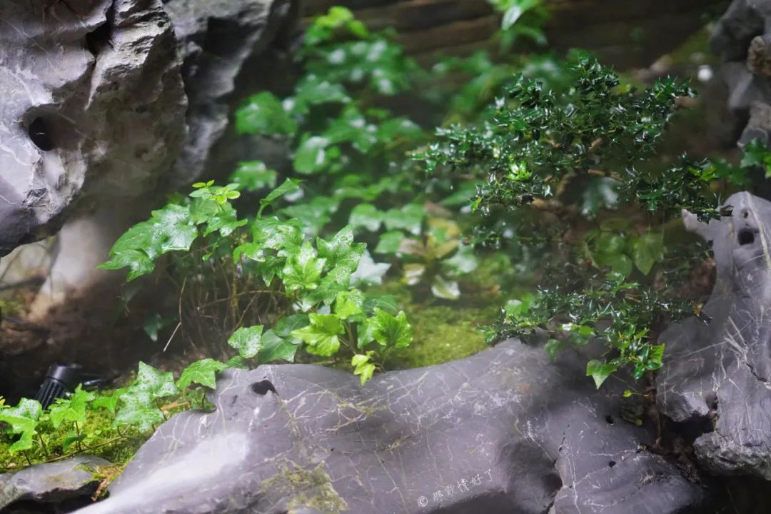 ��ɽ��˵��0�����Ļ��̴�լ���ޣ�������������ס�ڴ��辰��