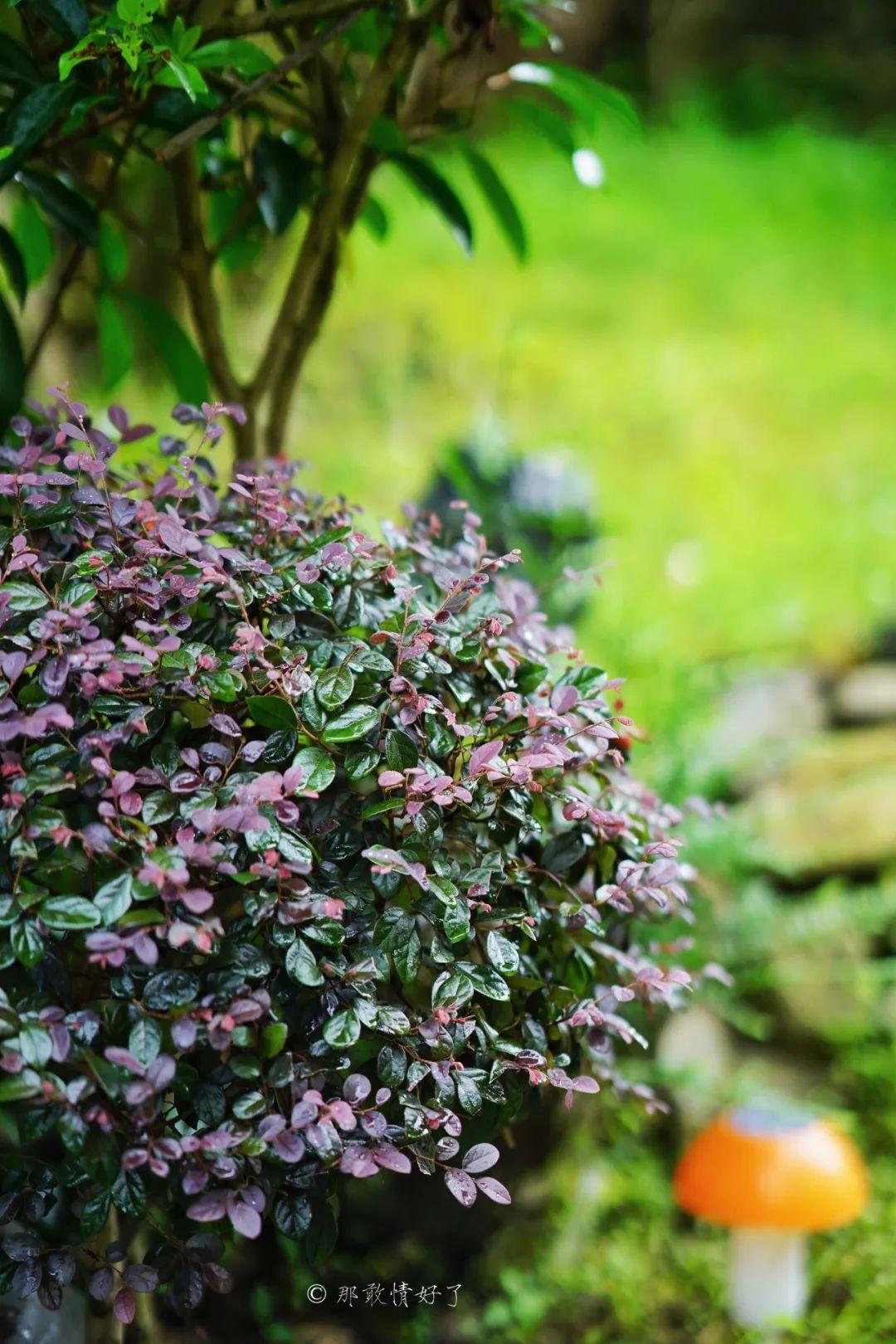 ��ɽ��˵��0�����Ļ��̴�լ���ޣ�������������ס�ڴ��辰��