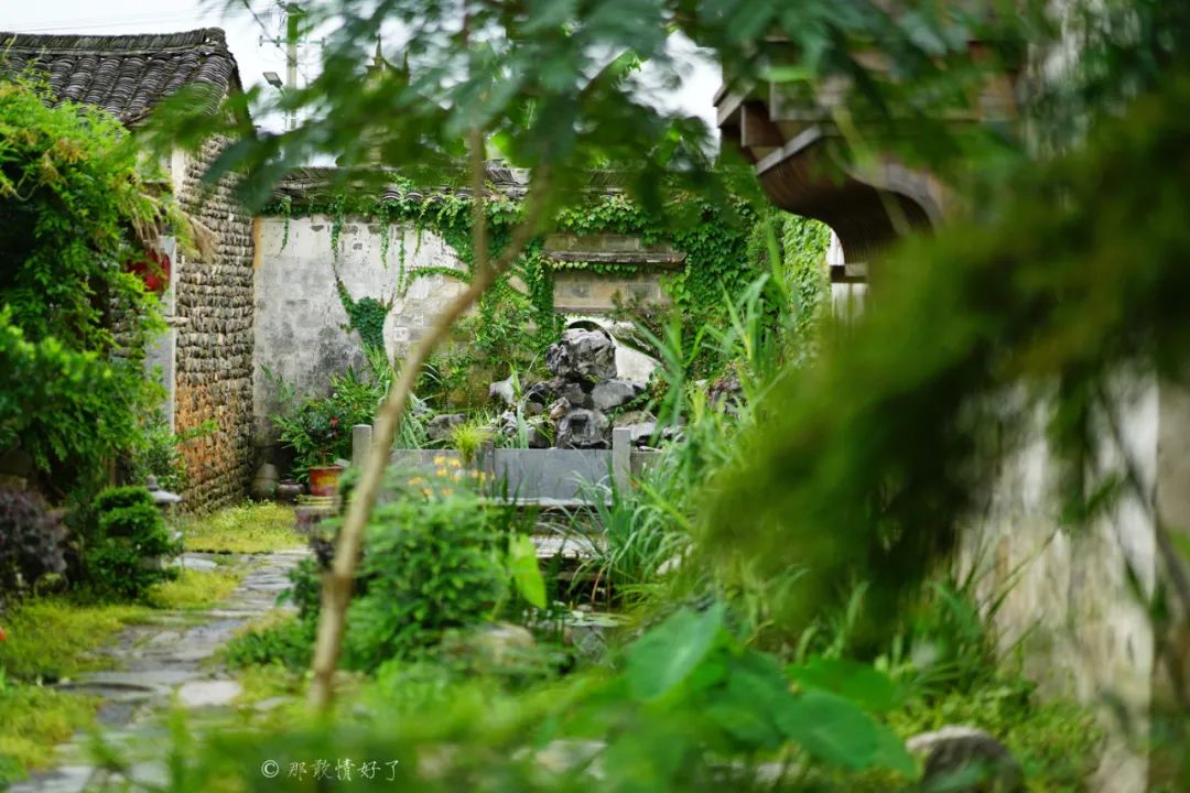 ��ɽ��˵��0�����Ļ��̴�լ���ޣ�������������ס�ڴ��辰��