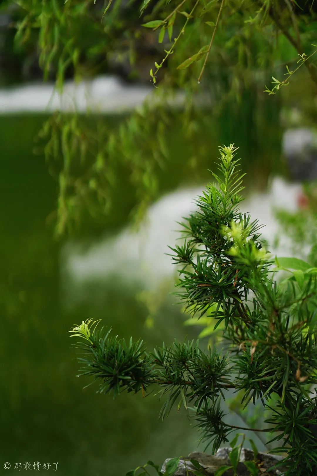 ��ɽ��˵��0�����Ļ��̴�լ���ޣ�������������ס�ڴ��辰��