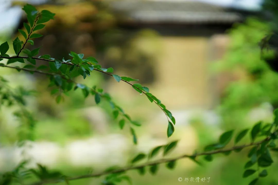 ��ɽ��˵��0�����Ļ��̴�լ���ޣ�������������ס�ڴ��辰��