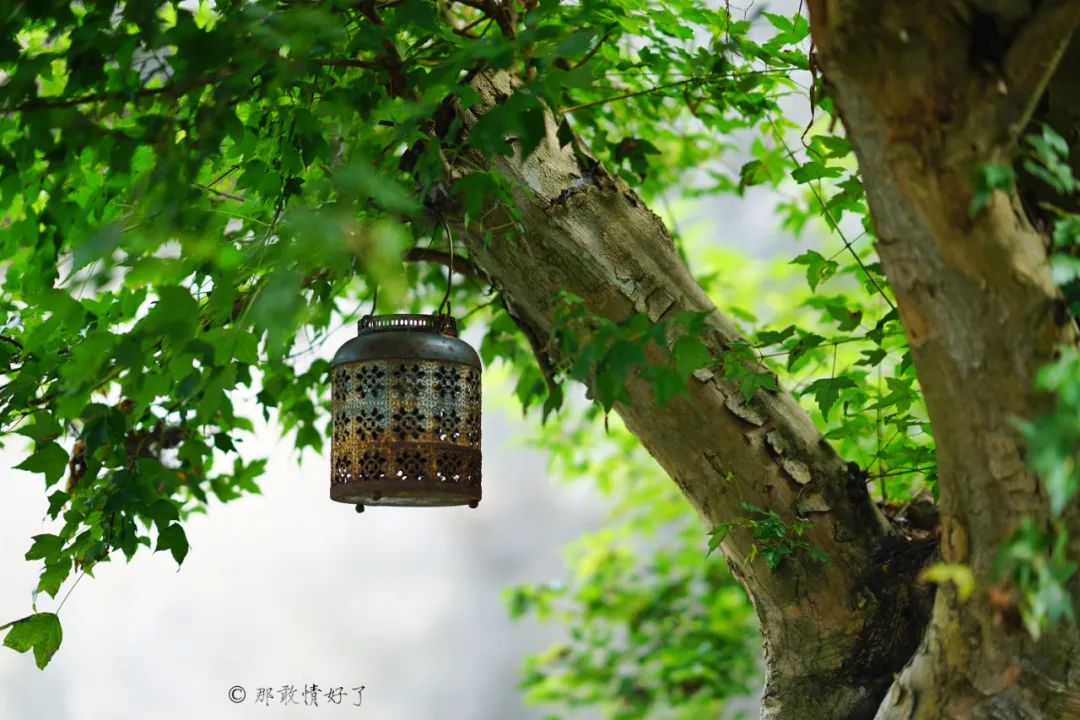 ��ɽ��˵��0�����Ļ��̴�լ���ޣ�������������ס�ڴ��辰��