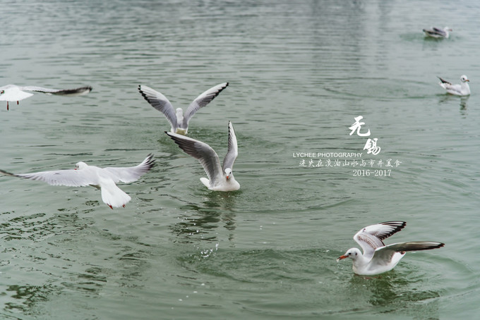 ����������������ҹ���ԣ����ܲ�һ��������