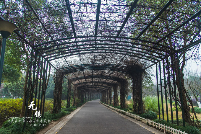 ����������������ҹ���ԣ����ܲ�һ��������