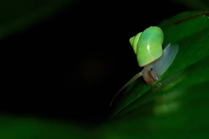 ��ɽ��ţ�����ɰ����Ҽ���ɽ�����ģ�����ɽ����Ӧ���ǡ�