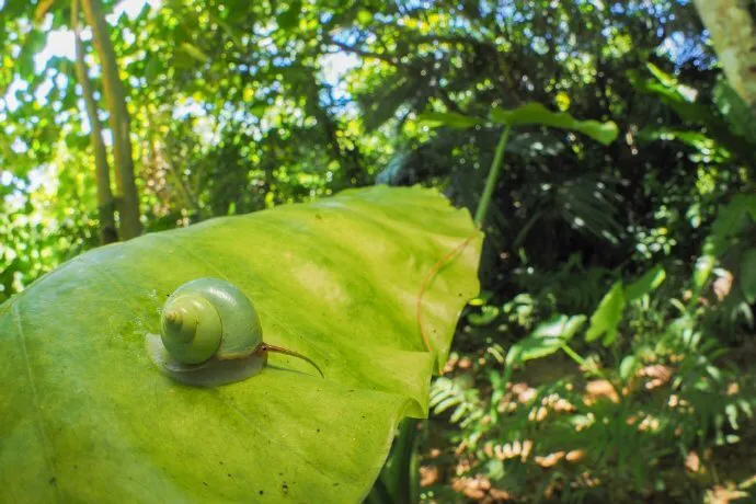 ��ɽ��ţ�����ɰ����Ҽ���ɽ�����ģ�����ɽ����Ӧ���ǡ�