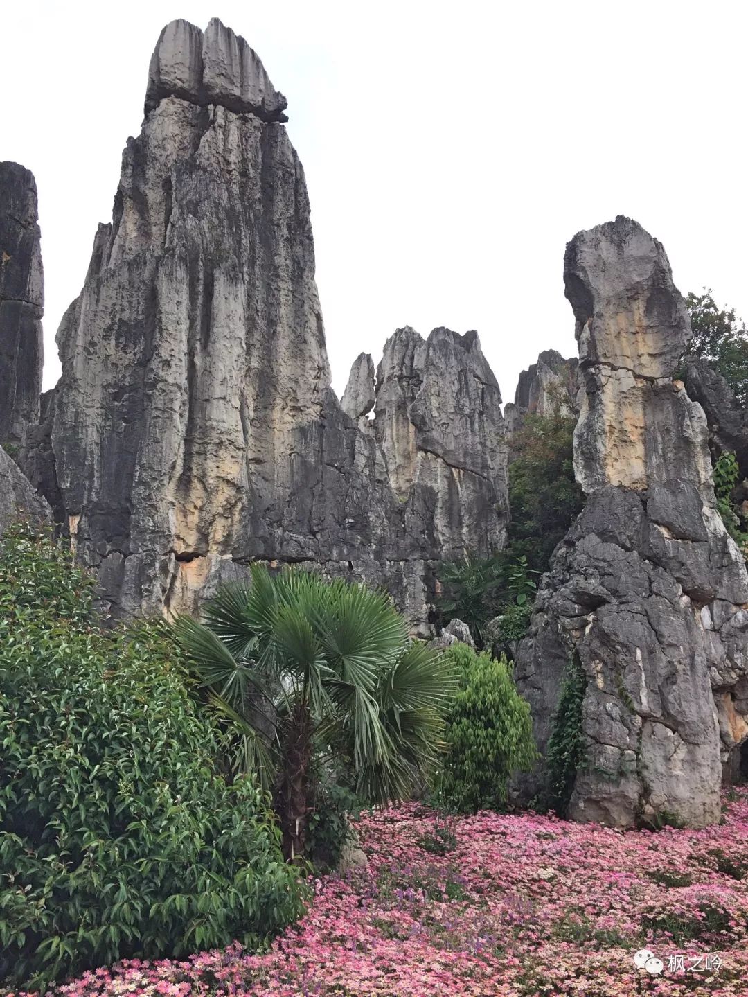 ����ӡ��ʯ�ַ���