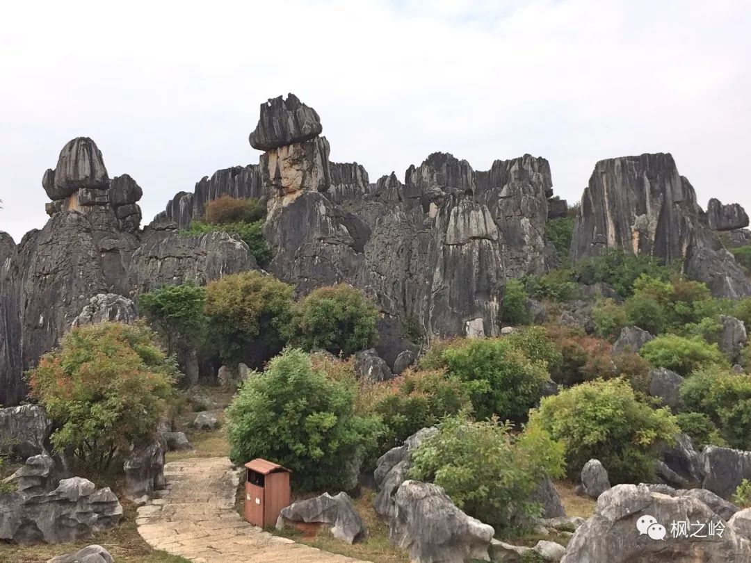 ����ӡ��ʯ�ַ���