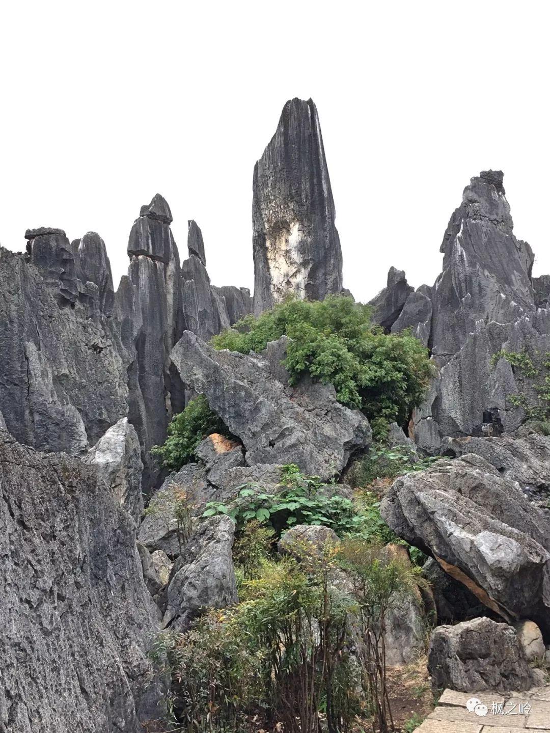 ����ӡ��ʯ�ַ���