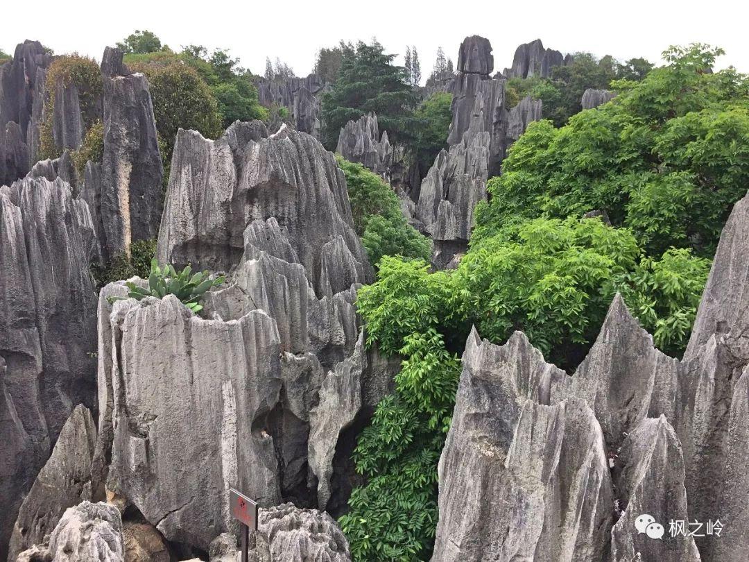 ����ӡ��ʯ�ַ���