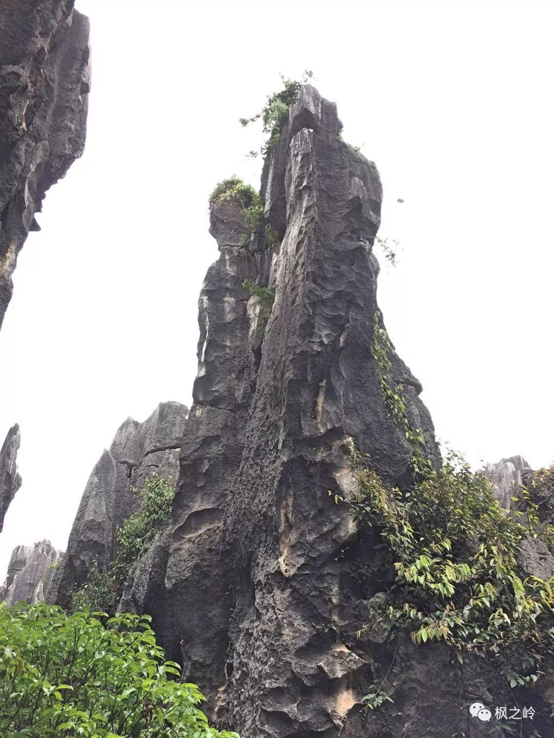 ����ӡ��ʯ�ַ���