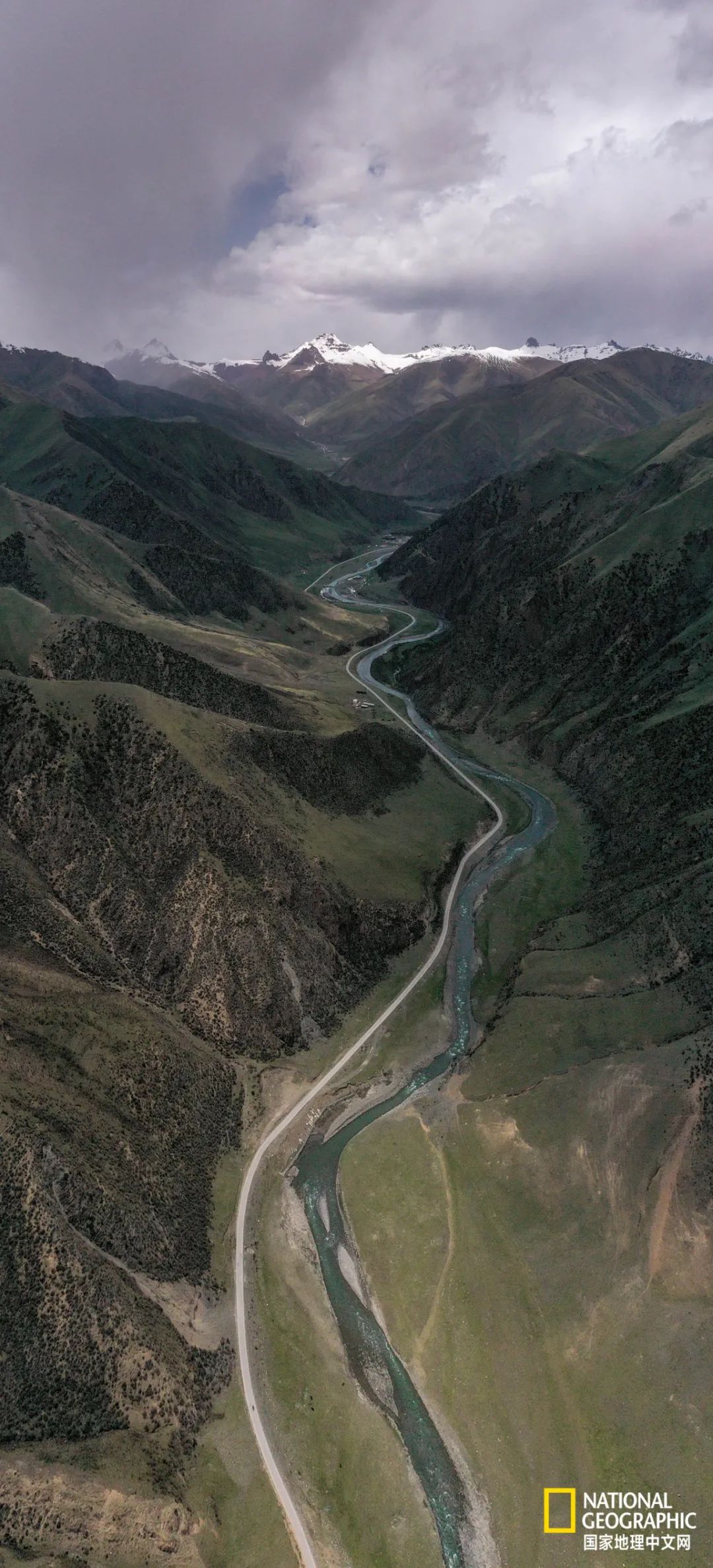 ԴԴ