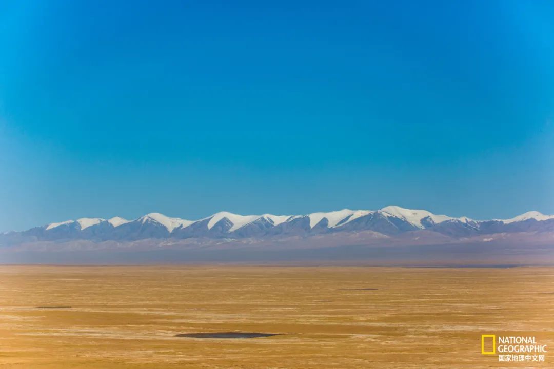 ԴԴ