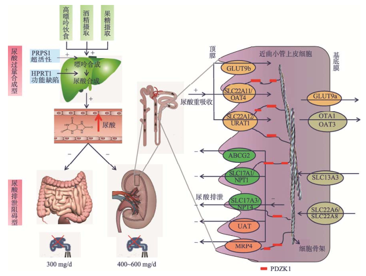 ʹ��Ĳ�����ơ�ƺ��ʣ�����ϰ��ֻ�����ε�����