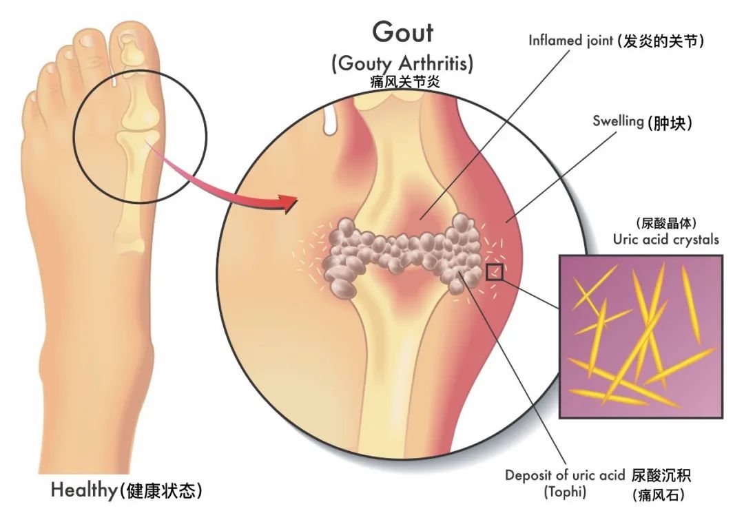 ʹ��Ĳ�����ơ�ƺ��ʣ�����ϰ��ֻ�����ε�����