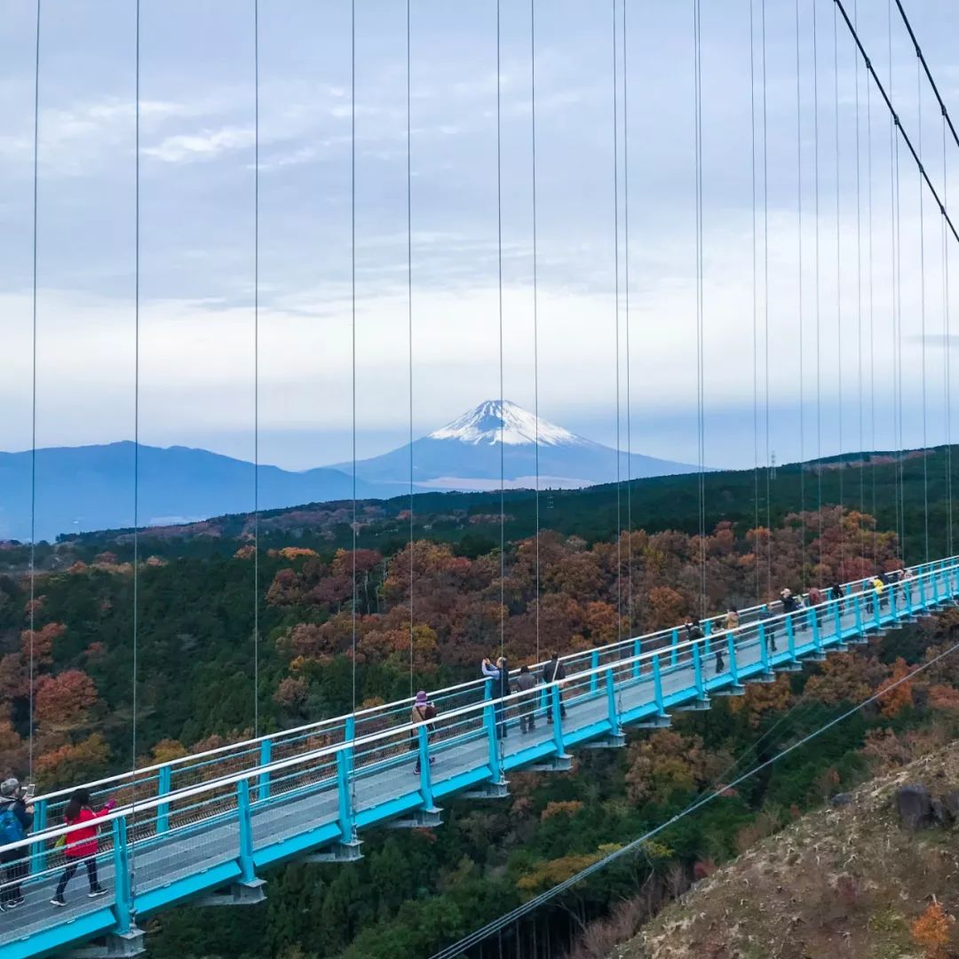 ڸʿɽȹ峿