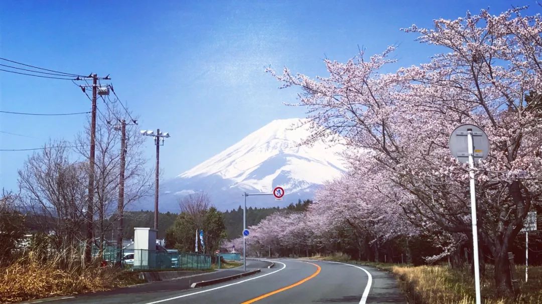 ڸʿɽȹ峿