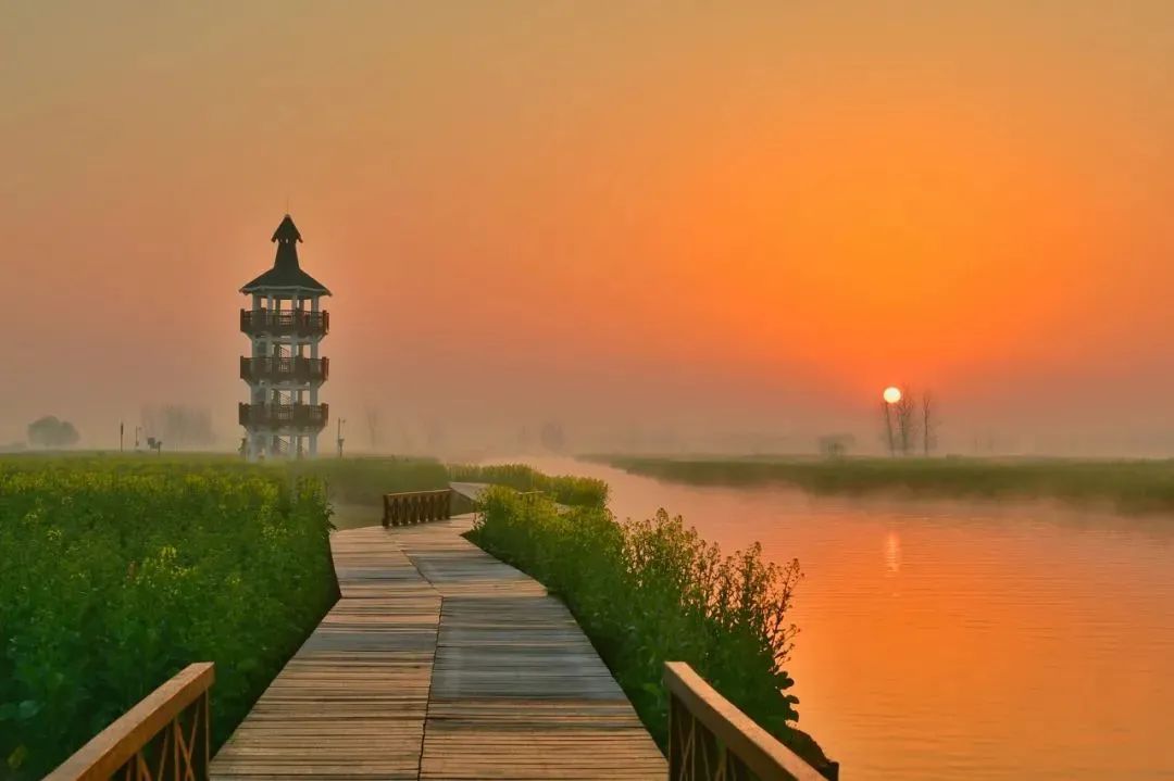պݡݺóԣ޹ɲ޵йˮйų