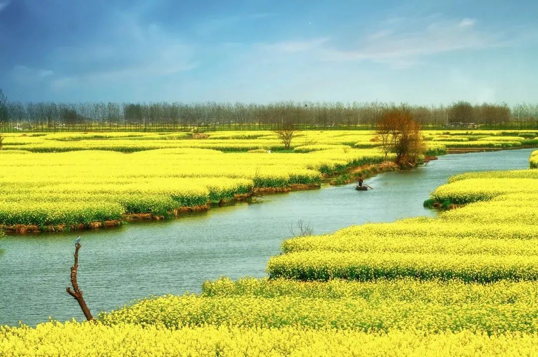 պݡݺóԣ޹ɲ޵йˮйų