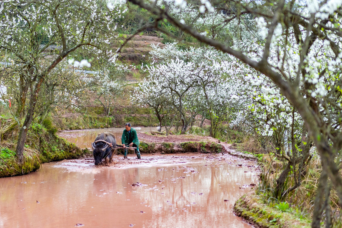 ����100����֮���ҷ�����5�����ٶ����ķ����ۡ�