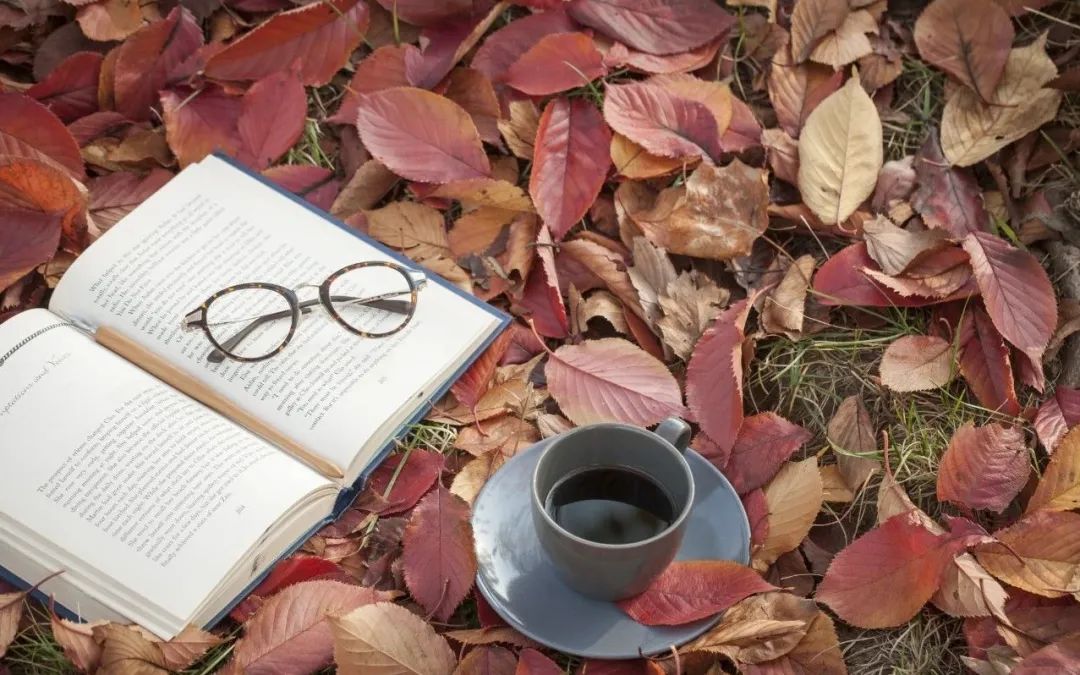 ����100����֮���ҷ�����5�����ٶ����ķ����ۡ�