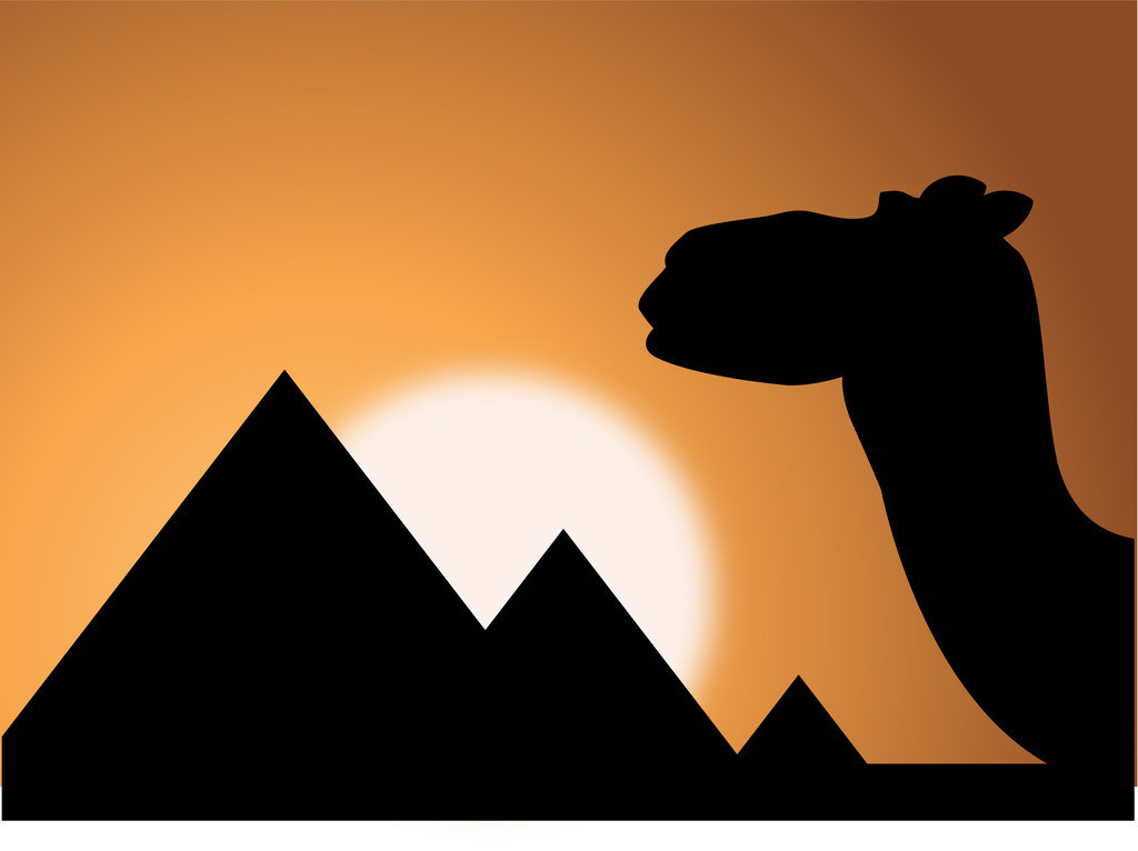 ����100����֮���ҷ�����5�����ٶ����ķ����ۡ�