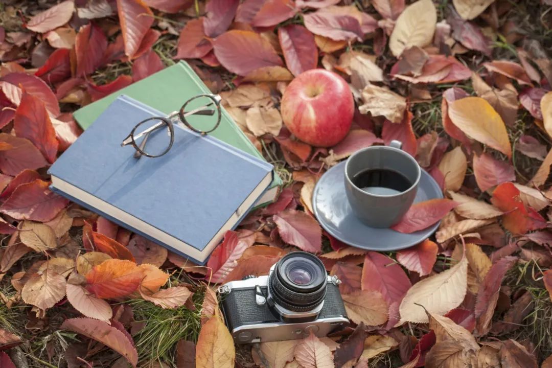 ����100����֮���ҷ�����5�����ٶ����ķ����ۡ�