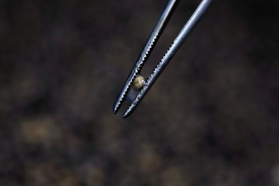 �����ӽ�����ȫ���̣�ȫ�̷ǳ���ѹ