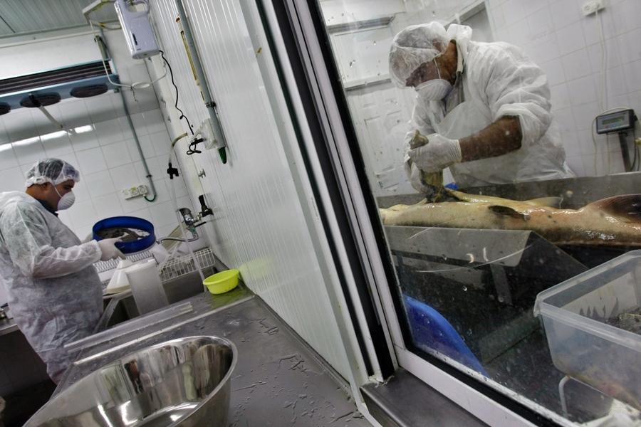 �����ӽ�����ȫ���̣�ȫ�̷ǳ���ѹ