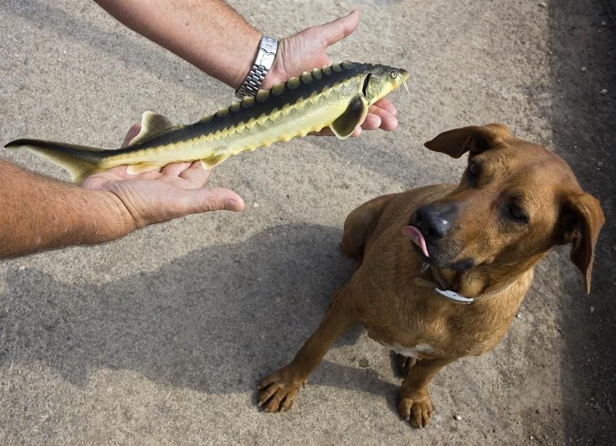 �����ӽ�����ȫ���̣�ȫ�̷ǳ���ѹ