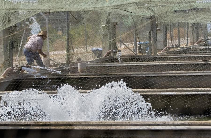 �����ӽ�����ȫ���̣�ȫ�̷ǳ���ѹ