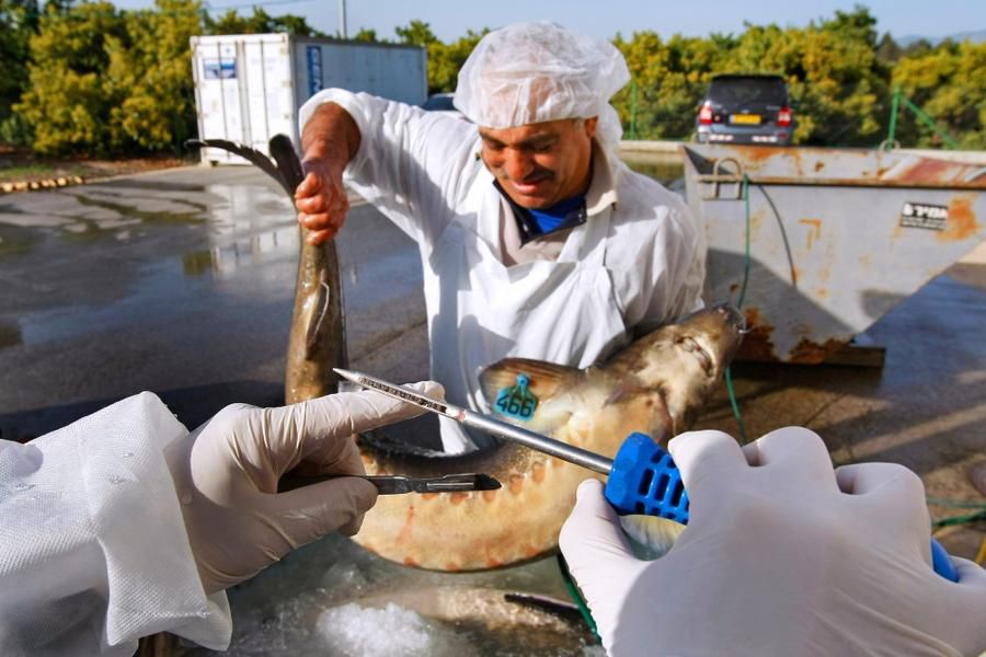 �����ӽ�����ȫ���̣�ȫ�̷ǳ���ѹ