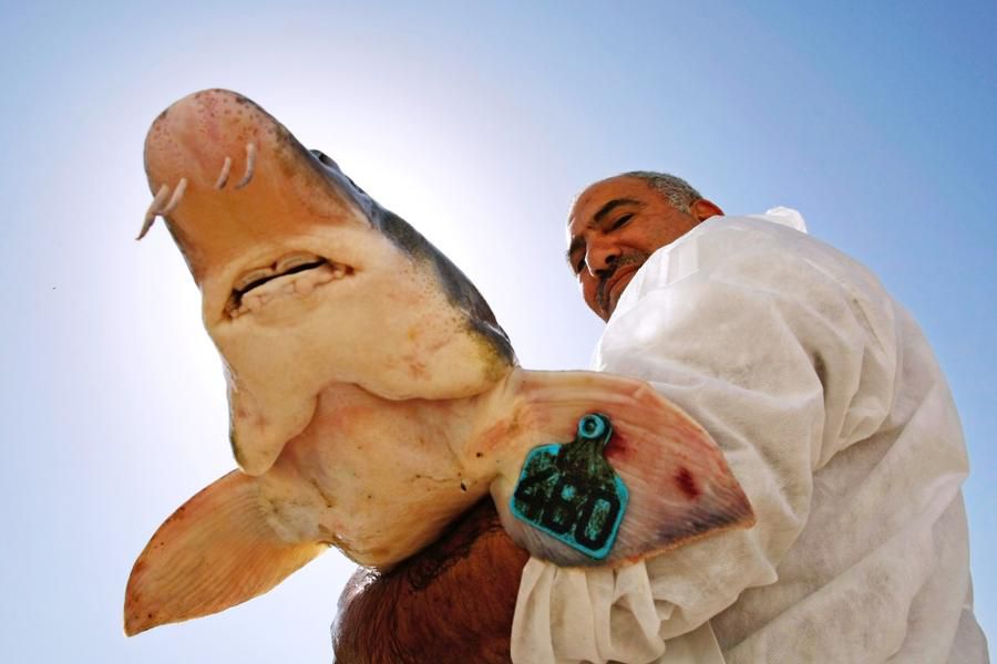 �����ӽ�����ȫ���̣�ȫ�̷ǳ���ѹ