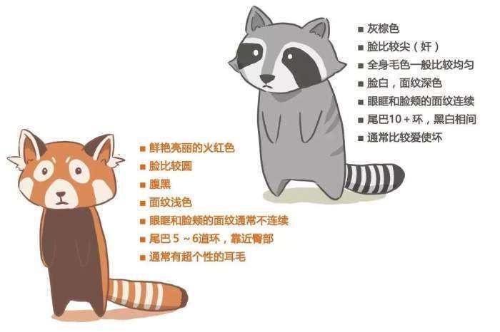 ǧ��Ҫ�Ż�С��è�������������Ͷ��