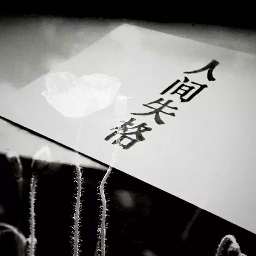 ѧңԸ鷳ˣһַǳΣյ˸