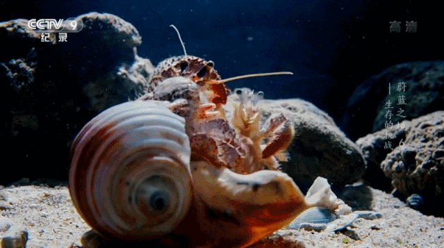 ٲ߷ֶƬÿ5𣬱Ȥ֪ʶ