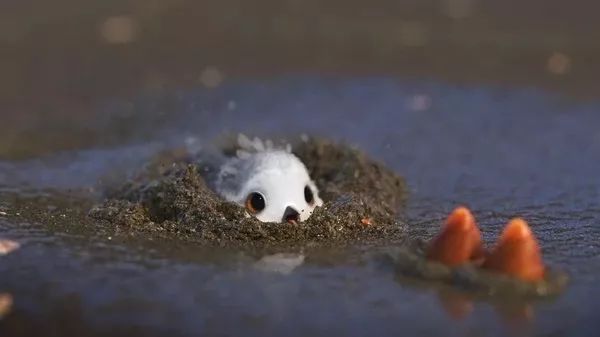 ٲ߷ֶƬÿ5𣬱Ȥ֪ʶ