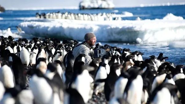 һҪӿ12߷񼶼¼Ƭ̫