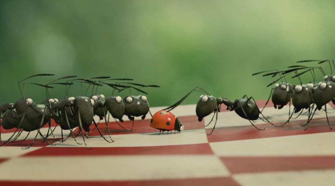 һҪӿ12߷񼶼¼Ƭ̫